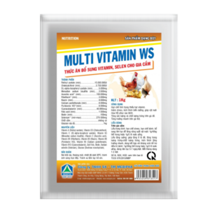 MULTI VITAMIN WS